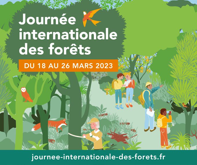 Journée internationale des forêts 2023