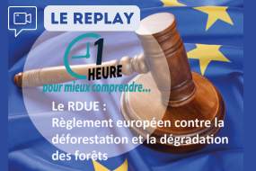 actu site web replay